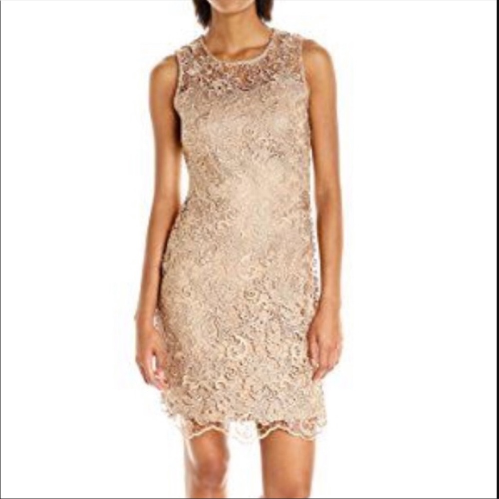 Calvin Klein Tan Lace Sheath Dress